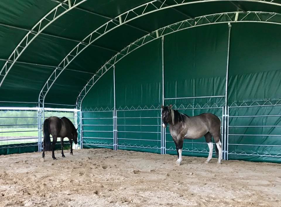 10 m Stahlhalle Rinderstall – Bild 5