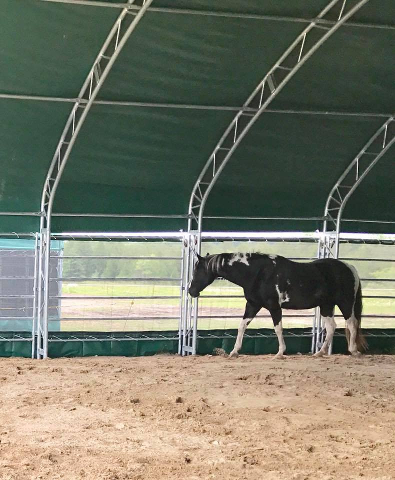 10 m Stahlhalle Rinderstall – Bild 6