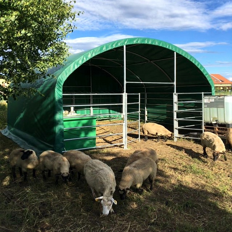 10m Stahlviehstall – Bild 6