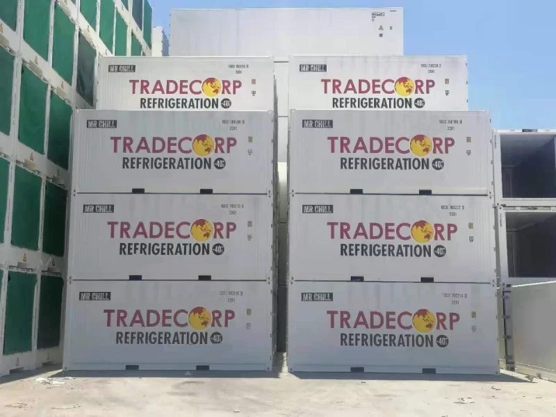 20′ Kühlcontainer – Thermo King Magnum+ – Bild 2